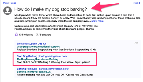 dog-training-answers